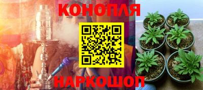 прущая мука Дубна