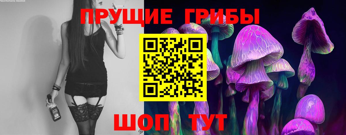 Галлюциногенные грибы GOLDEN TEACHER  Вход с VPN  Мценск 